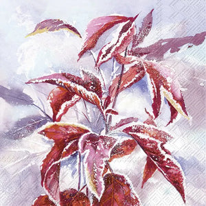 Servietter- Frosty branch lunsj
