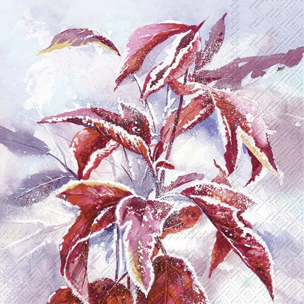Servietter- Frosty branch lunsj